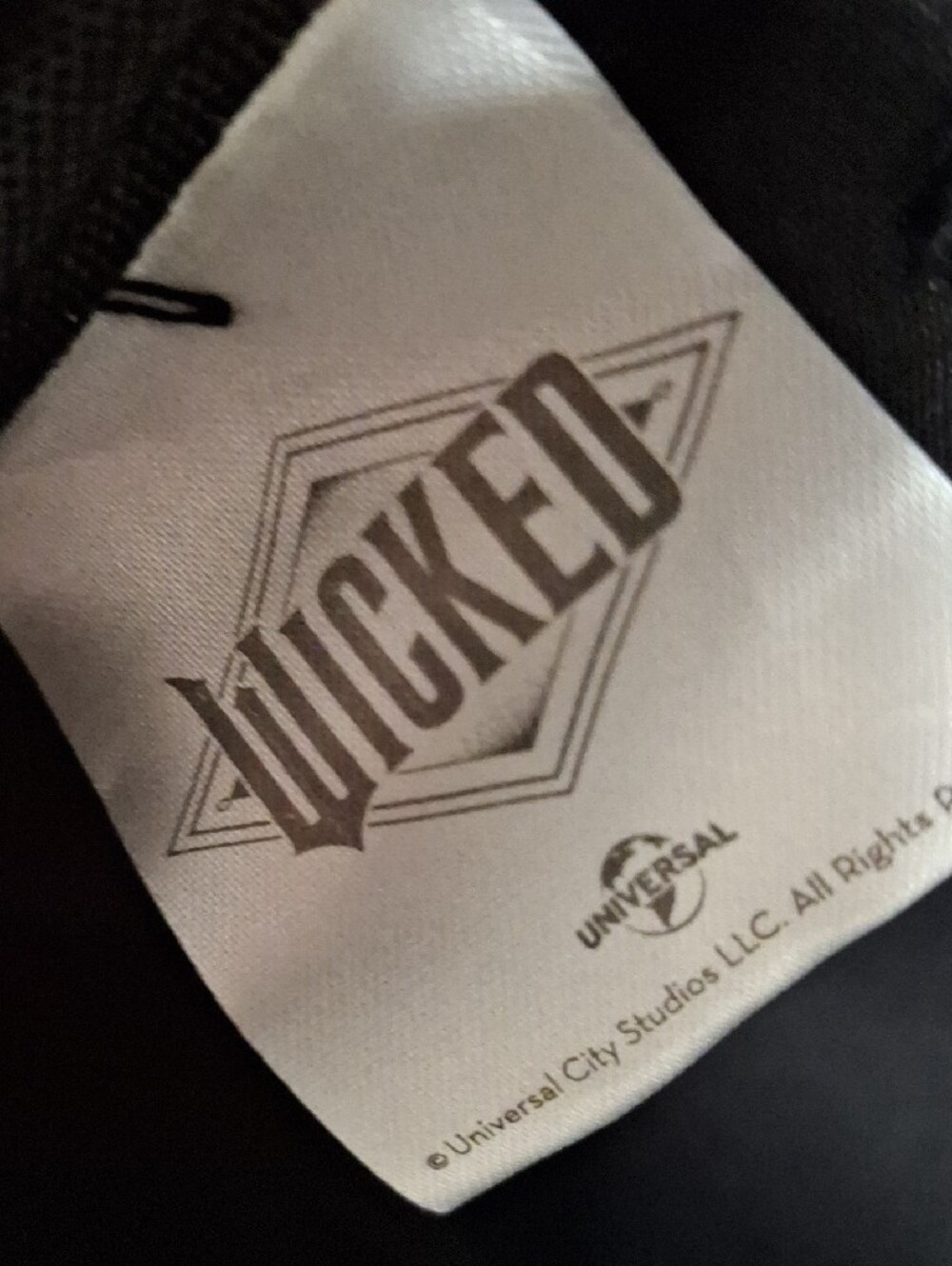 Wicked Defy Gravity Black & Green Mini Backpack - Picture 2 of 7